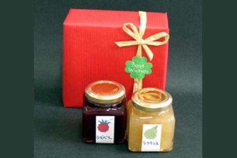 はらぺこのこころもからだも元気にしたいフルーツソース2種