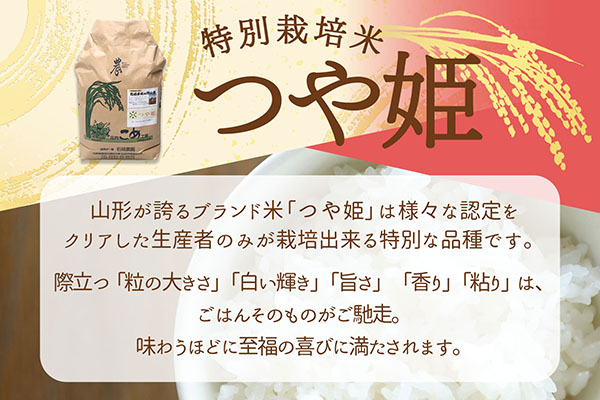 石垣農園の特別栽培米 つや姫 10kg 令和7年産 2025年産 ブランド米 山形県コシヒカリの原点、亀の尾発祥の地 庄内【028-026I】 つや姫 10kg（5kg×2袋）