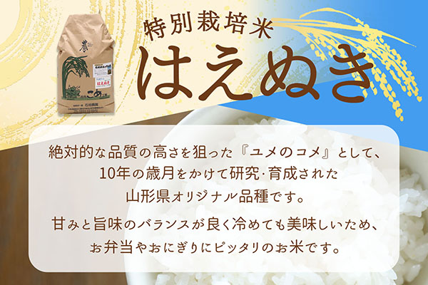 石垣農園の特別栽培米 はえぬき 10kg 令和7年産 2025年産 ブランド米 山形県コシヒカリの原点、亀の尾発祥の地 庄内【029-024I】 はえぬき 10kg（5kg×2袋）