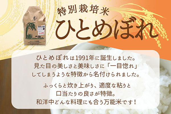 石垣農園の特別栽培米 ひとめぼれ 10kg 令和7年産 2025年産 ブランド米 山形県コシヒカリの原点、亀の尾発祥の地 庄内【030-024I】 ひとめぼれ 10kg（5kg×2袋）