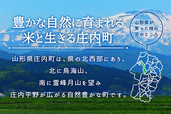 JAあまるめ 山形県庄内町産 はえぬき 10kg×1袋 令和7年産 2025年産 ブランド米 コシヒカリの原点、亀の尾発祥の地 庄内