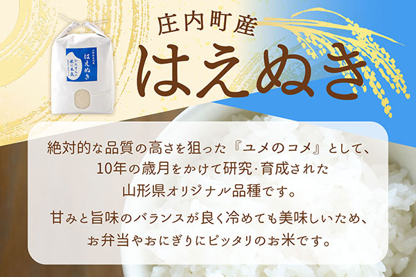 渡會さんのうまい米！はえぬき 5kg 令和7年産 2025年産 ブランド米 コシヒカリの原点、亀の尾発祥の地 庄内 はえぬき 5kg（5kg×1袋）