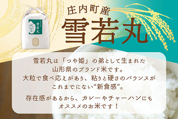渡會さんのうまい米！雪若丸 10kg 5kg×2袋 令和7年産 2025年産 ブランド米 コシヒカリの原点、亀の尾発祥の地 庄内【1030-024I】 雪若丸 10kg（5kg×2袋）