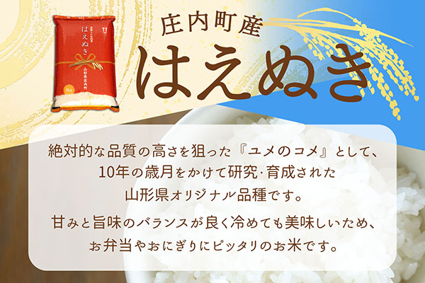 庄内町産 はえぬき 10kg 5kg×2袋 令和7年産 2025年産 ブランド米 コシヒカリの原点、亀の尾発祥の地 庄内 10kg（5kg×2袋）
