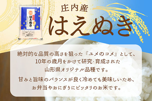 庄内産 はえぬき無洗米 10kg 5kg×2袋 令和7年産 2025年産 ブランド米 コシヒカリの原点、亀の尾発祥の地 庄内 10kg（5kg×2袋）