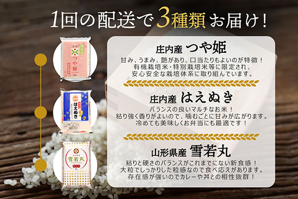 山形のブランド米！食べ比べ 6kgセット 無洗米 2kg×3袋 つや姫 はえぬき 雪若丸 令和7年産 2025年産 コシヒカリの原点、亀の尾発祥の地 庄内 食べ比べセット 無洗米
