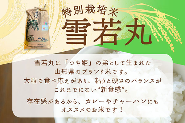 石垣農園の特別栽培米 雪若丸 10kg 5kg×2袋 令和7年産 2025年産 ブランド米 コシヒカリの原点、亀の尾発祥の地 庄内【1122-034I】 雪若丸 10kg（5kg×2袋）
