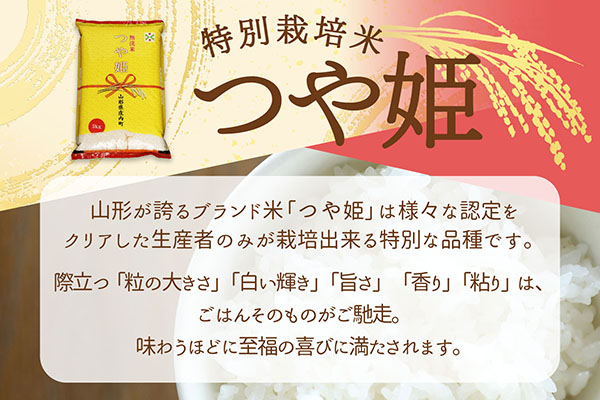 ＜12月下旬発送＞庄内米6か月定期便！つや姫無洗米 10kg（入金期限：2025.11.25） 12月下旬発送 10kg(5kg×2袋)