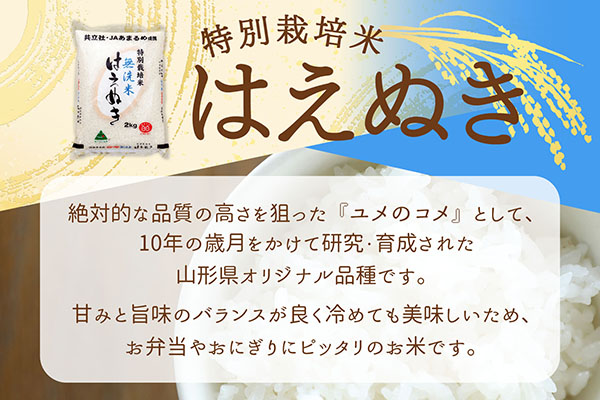＜1月中旬発送＞庄内米6か月定期便！特別栽培米 はえぬき無洗米 2kg（入金期限：2025.12.25） 1月中旬発送