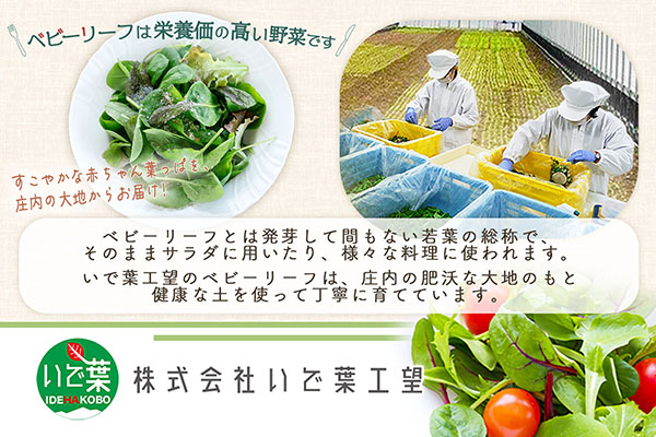 庄内産 ベビーリーフミックス 70g×1袋 土耕栽培 サラダ スムージー 若葉 野菜 生野菜 新鮮 山形県 冷蔵 70g×1袋