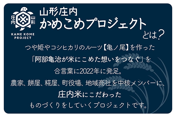 山形庄内かめこめプロジェクト 庄内まるもち プチギフト 2個入り×12個 紅白もち お祝い イベントに 個包装 12個