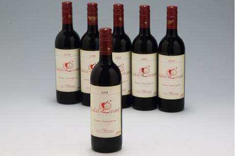 食の都庄内　月山ワイン　ソレイユ・ルバン　ヤマソービニオン　赤（辛口）６本セット