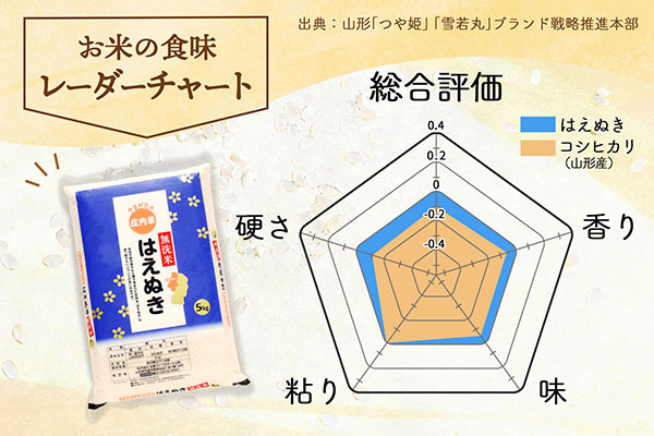 庄内産 はえぬき 無洗米 10kg 2kg×5袋 令和7年産 2025年産 ブランド米 コシヒカリの原点、亀の尾発祥の地 庄内
