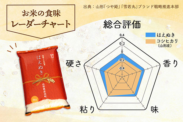 庄内町産 はえぬき 20kg 5kg×4袋 令和7年産 2025年産 ブランド米 コシヒカリの原点、亀の尾発祥の地 庄内 20kg（5kg×4袋）