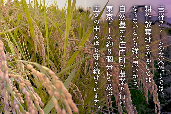 吉祥ファーム 庄内町産 無洗米 庄内米9銘柄ギフト 300g×9種 2.7kg 贈り物に 食べ比べ 9種食べ比べ 各300g