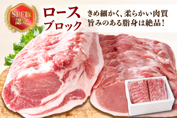 山形県庄内SPF豚 最上川ポークロースブロック 4kg（2kg×2）国産 豚肉 冷蔵便 ロースブロック 4kg