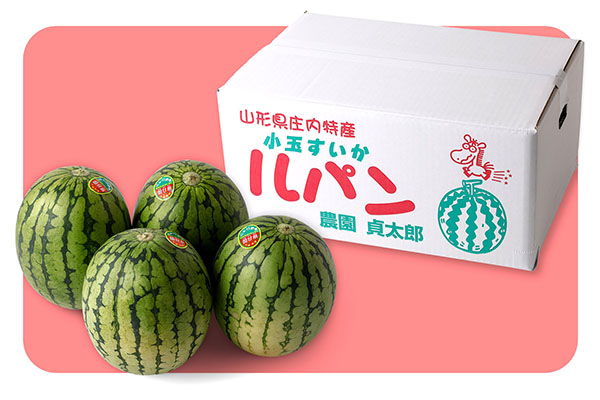 【R8.7月下旬より順次発送】農園貞太郎 小玉スイカ ルパン 3～4玉（入金期限：2026.7.10）