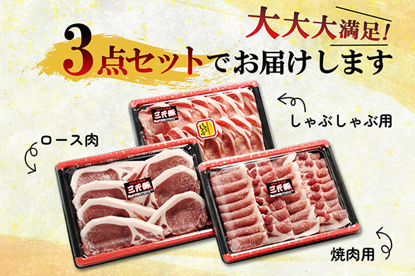 ＜1月中旬発送＞庄内三元豚6か月定期便！（入金期限：2025.12.25） 1月中旬発送