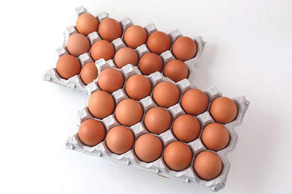 ＜1月中旬発送＞スズキのたまご 6か月定期便！ 地養卵30個（入金期限：2025.12.25） 1月中旬発送 30個