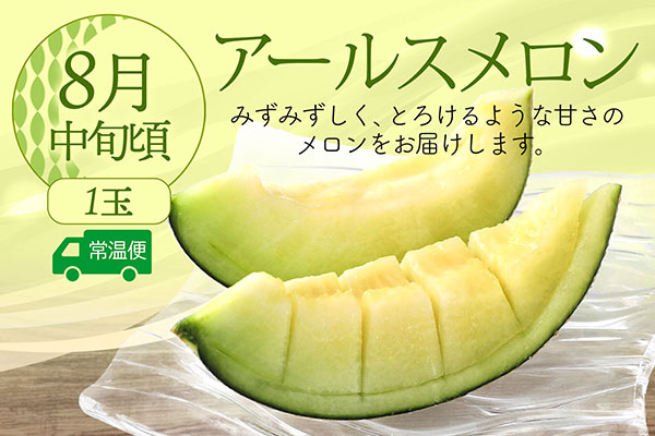 【R8.8月中旬より発送開始】食の都庄内 厳選フルーツ便C（入金期限：2026.7.31）アールスメロン 和梨 シャインマスカット 全3回配送 常温便 冷蔵便 Cコース