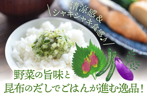 マルハチ 山形のだし 110g×12パック 漬物 夏野菜 シャキシャキ食感 お手軽 簡単 ご飯のお供 おかず 山形名物 郷土料理 家庭料理 ご当地 110g×12パック