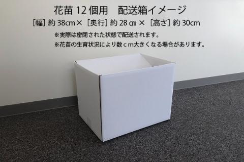 【R8.5月下旬より順次発送】ガーデニング用花苗 生産者おまかせ 12ポット（入金期限：2026.5.20） 生産者おまかせ