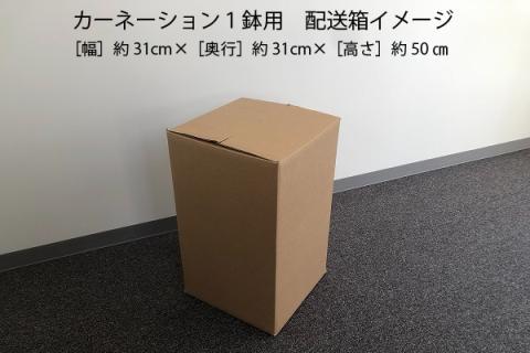 【R8.5月初旬より順次発送】成澤さんのカーネーション ピンク 5号鉢（入金期限：2026.4.30）母の日に プレゼント ピンク