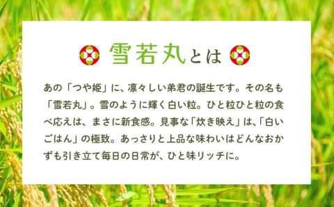 雪若丸 特別栽培玄米 パックごはん 24個 有機黒米入 健康 ダイエット 備蓄 保存食 防災 簡単レンジ 温めるだけ 湯煎調理 24個