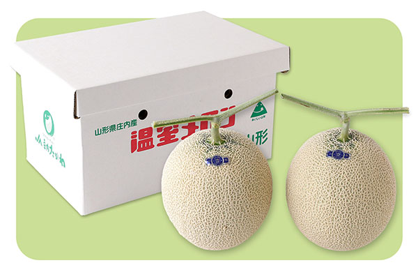 【R8.8月より順次発送】アールスメロン 大玉2玉（入金期限：2026.7.20） 大玉 2玉