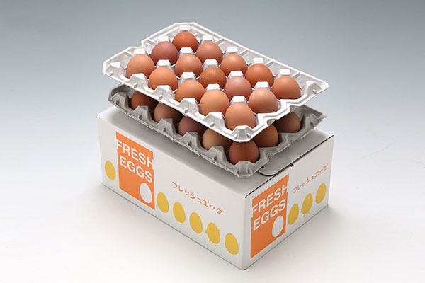 ＜1月中旬発送＞スズキのたまご 6か月定期便！ 地養卵30個（入金期限：2025.12.25） 1月中旬発送 30個