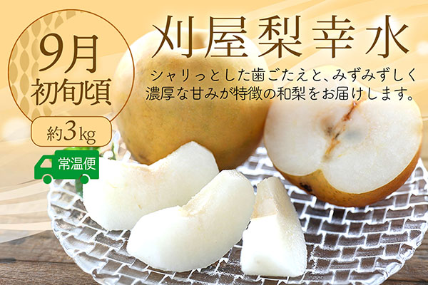 【R8.8月中旬より発送開始】食の都庄内 厳選フルーツ便C（入金期限：2026.7.31）アールスメロン 和梨 シャインマスカット 全3回配送 常温便 冷蔵便 Cコース