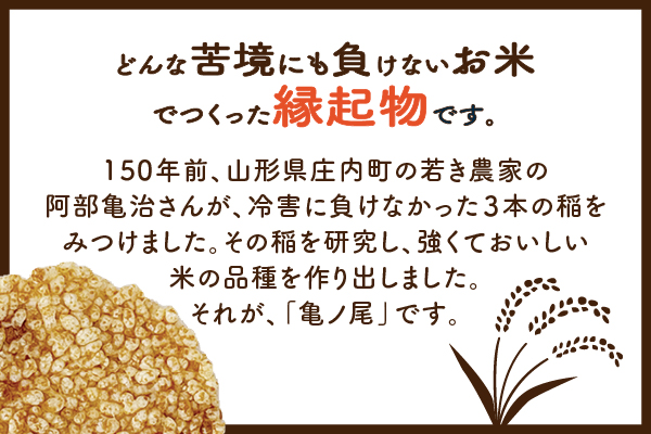 山形庄内かめこめプロジェクト 亀の尾せんべい 80g×1袋 つぶつぶ食感 煎餅 米菓 おやつ お菓子 80g×1袋