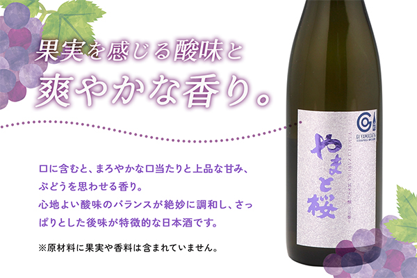 やまと桜 純米大吟醸 出羽燦々 1800ml 日本酒 1800ml（一升瓶）×1本