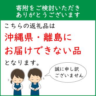 【R8.5月初旬より順次発送】成澤さんのカーネーション ピンク 5号鉢（入金期限：2026.4.30）母の日に プレゼント ピンク