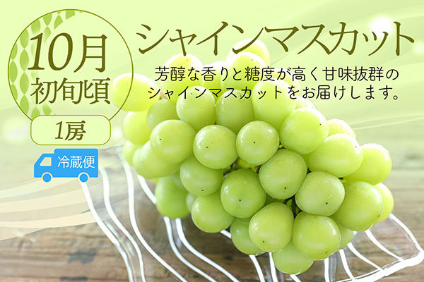 【R8.8月中旬より発送開始】食の都庄内 厳選フルーツ便C（入金期限：2026.7.31）アールスメロン 和梨 シャインマスカット 全3回配送 常温便 冷蔵便 Cコース