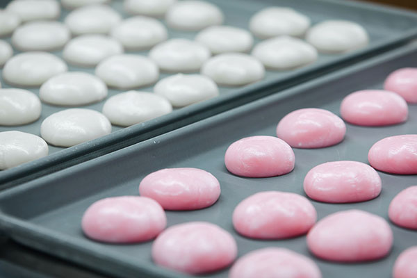 山形庄内かめこめプロジェクト 庄内まるもち プチギフト 2個入り×12個 紅白もち お祝い イベントに 個包装 12個