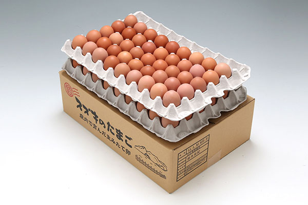 スズキのたまご 地養卵 MS～L 80～90個 約5kg 新鮮 卵 たまご 鶏卵 生卵 地養卵 赤たまご 80～90個