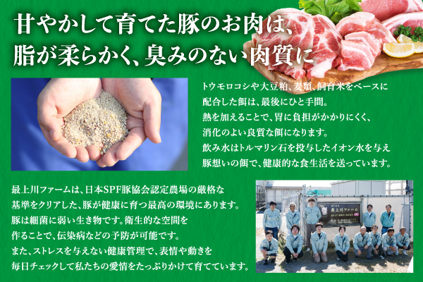 山形県庄内SPF豚 最上川ポークバラブロック 4kg（2kg×2）国産  豚肉 冷蔵便 バラブロック4kg