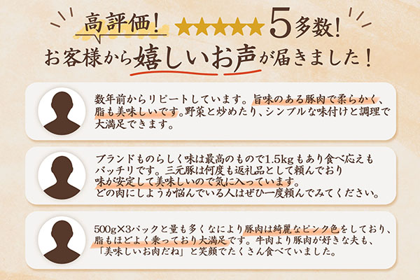 ＜12月中旬発送＞庄内三元豚6か月定期便！（入金期限：2025.11.25） 12月中旬発送