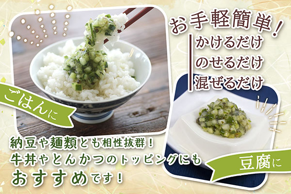 マルハチ 山形のだし 110g×6パック 漬物 夏野菜 シャキシャキ食感 お手軽 簡単 ご飯のお供 おかず 山形名物 郷土料理 家庭料理 ご当地 110g×6パック