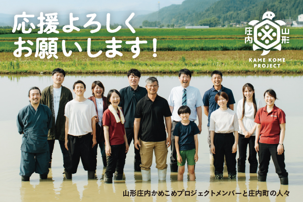 山形庄内かめこめプロジェクト 亀の尾せんべい 80g×12袋 つぶつぶ食感 煎餅 米菓 おやつ お菓子 80g×12袋