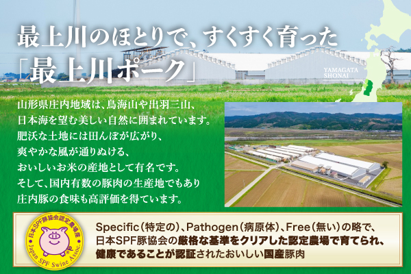 山形県庄内SPF豚 最上川ポーク肩ロースブロック 4kg（2kg×2） 国産 豚肉 冷蔵便 肩ロースブロック 4kg