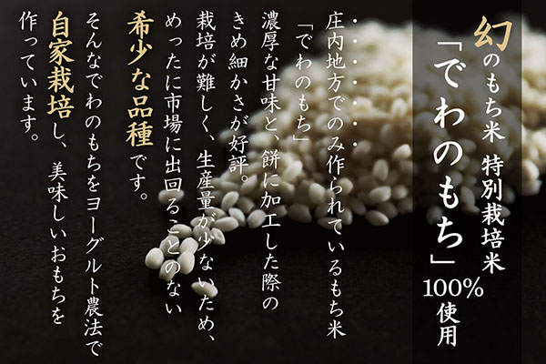 【2月発送】梅木もち屋 庄内産『でわのもち』を使用した杵つき餅 380g×12袋（入金期限：2026.2.15）柔らかくよく伸びる 小さめ 個包装 ヨーグルト農法 丸もち 餅 もち 2月発送開始 380g×12袋