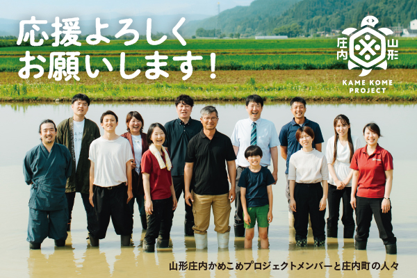 山形庄内かめこめプロジェクト お米の家系図 クリアファイル A4 1枚 オリジナル グッズ 文房具