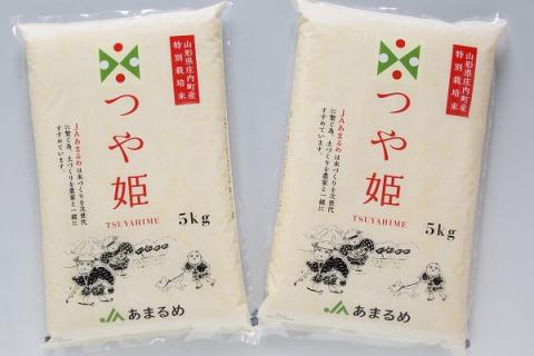 JAあまるめ 山形県庄内町産 特別栽培米つや姫 5kg×2袋 令和7年産 2025年産 ブランド米 コシヒカリの原点、亀の尾発祥の地 庄内 つや姫 10kg（5kg×2袋）