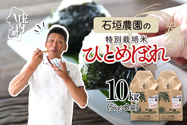 石垣農園の特別栽培米 ひとめぼれ 10kg 令和7年産 2025年産 ブランド米 山形県コシヒカリの原点、亀の尾発祥の地 庄内【030-024I】 ひとめぼれ 10kg（5kg×2袋）