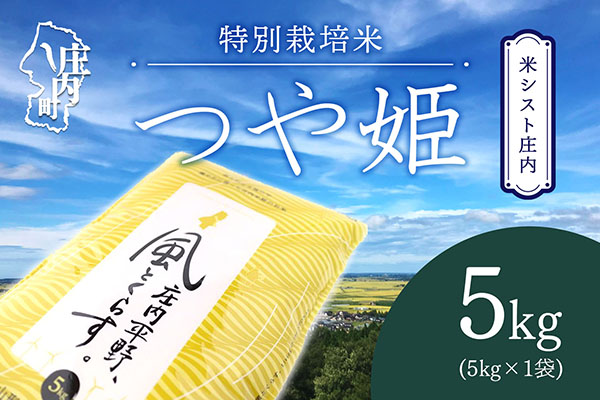 米シスト庄内 庄内平野、風と暮らす つや姫5kg 特別栽培米 令和7年産 2025年産 ブランド米 コシヒカリの原点、亀の尾発祥の地 庄内 つや姫 5kg×1袋