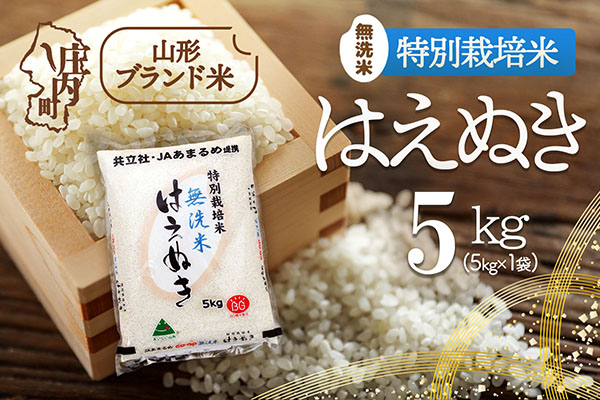 庄内町産 特別栽培米はえぬき無洗米 5kg 令和7年産 2025年産 ブランド米 コシヒカリの原点、亀の尾発祥の地 庄内 5kg（5kg×1袋）