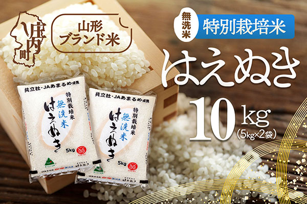 庄内町産 特別栽培米はえぬき無洗米 10kg 5kg×2袋 令和7年産 2025年産 ブランド米 コシヒカリの原点、亀の尾発祥の地 庄内 10kg（5kg×2袋）