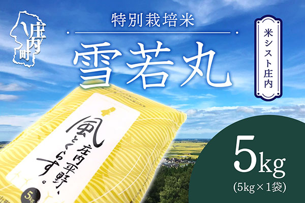 米シスト庄内 庄内平野、風と暮らす 雪若丸 5kg 特別栽培米 令和7年産 2025年産 ブランド米 コシヒカリの原点、亀の尾発祥の地 庄内 雪若丸 5kg×1袋